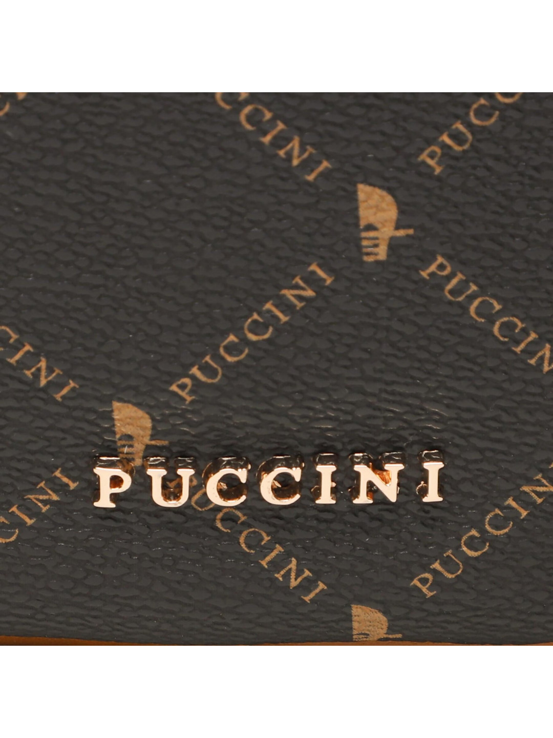 Ledvinka Puccini